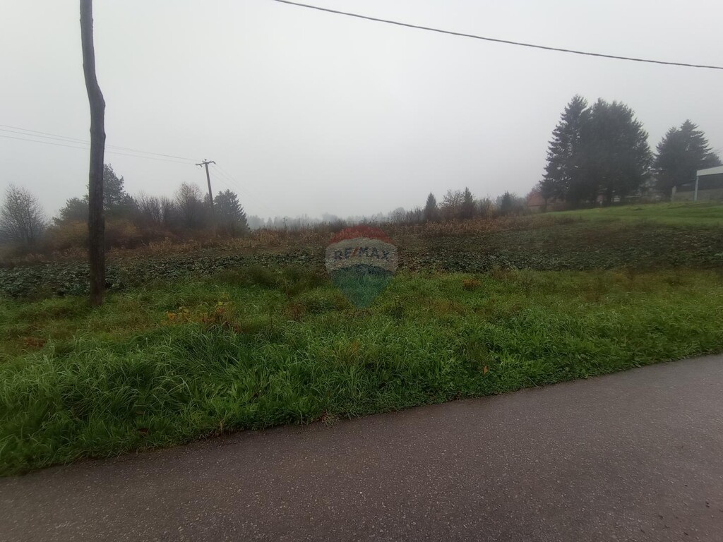 Image 5540521 - 4