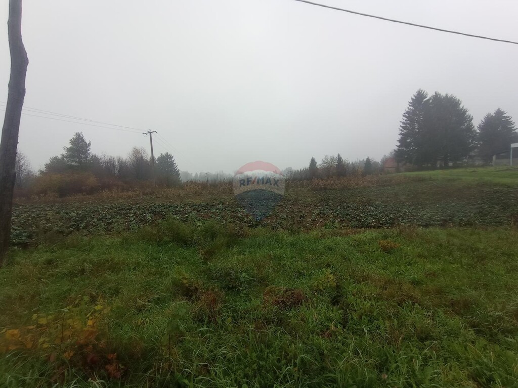 Image 5540521 - 2