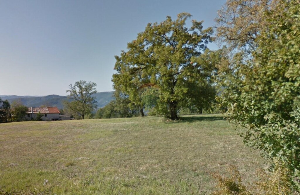 Image 5541791 - 3