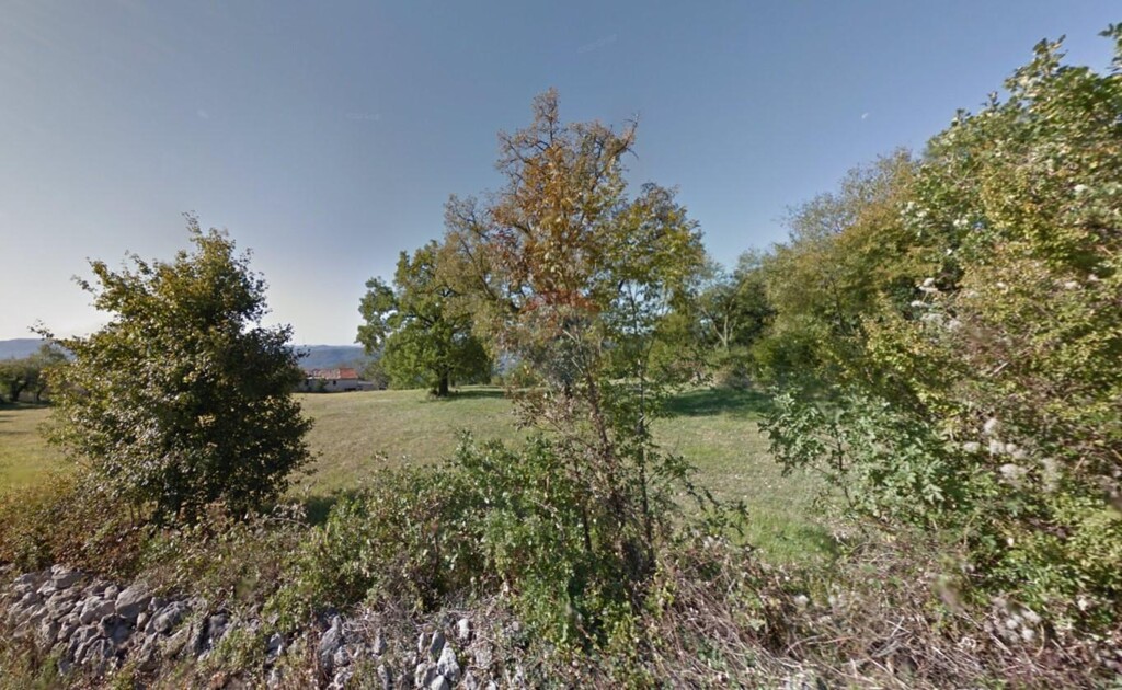Image 5541791 - 6