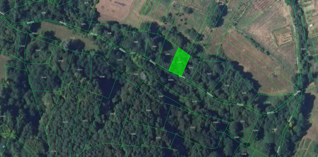 Image 5542229 - 1