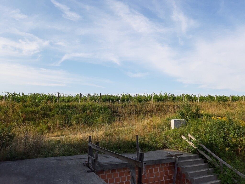 Image 5542247 - 2
