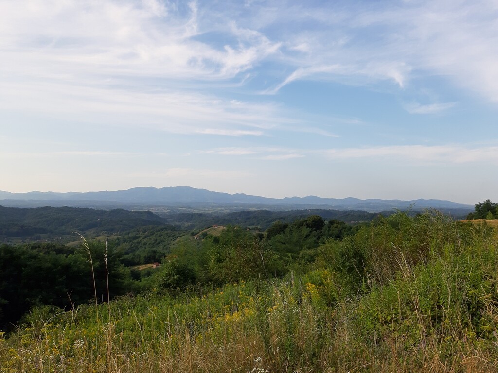 Image 5542247 - 3