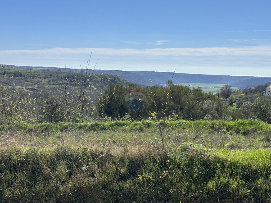 Image 5542727 - 9