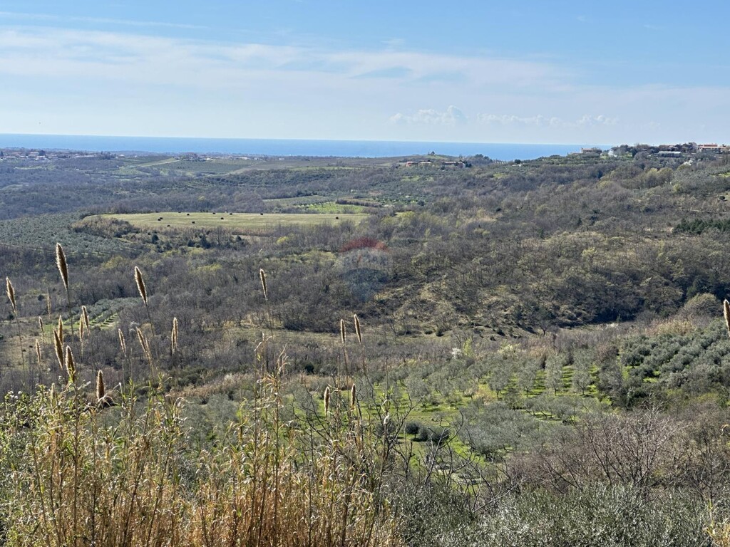 Image 5542728 - 4