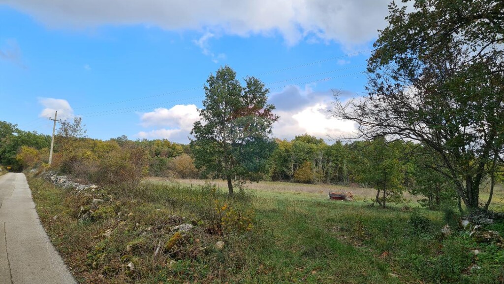 Image 5542741 - 4