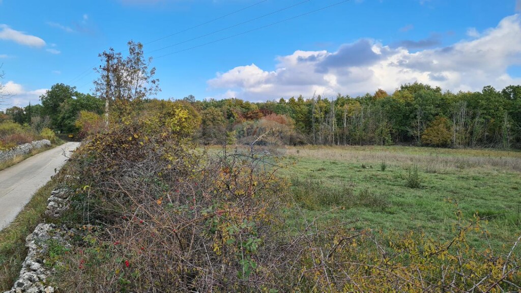 Image 5542741 - 8