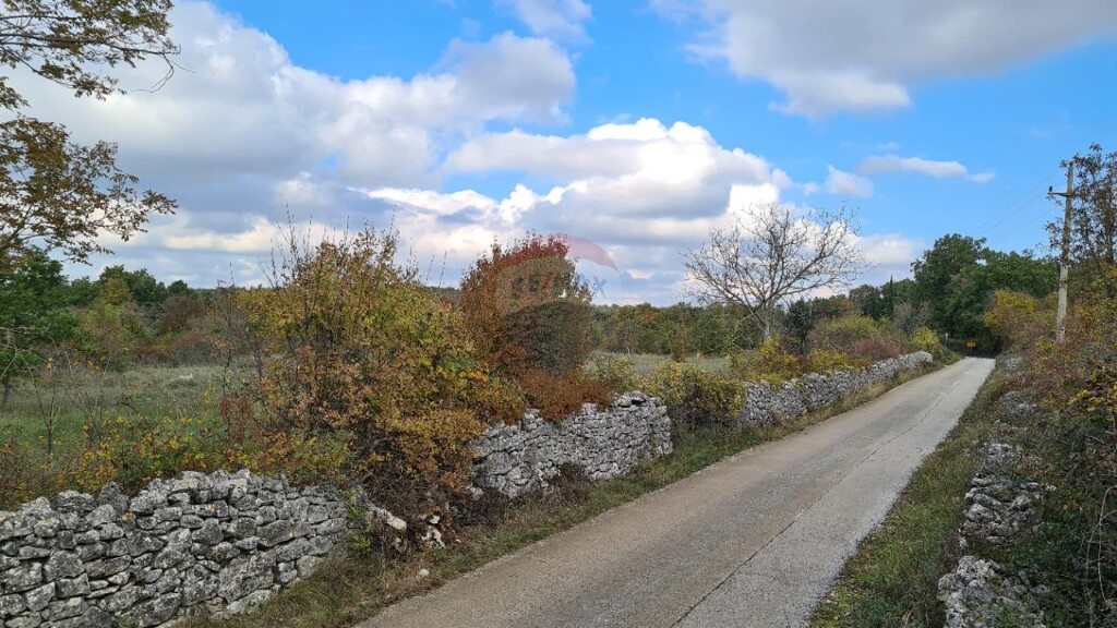 Image 5542741 - 3