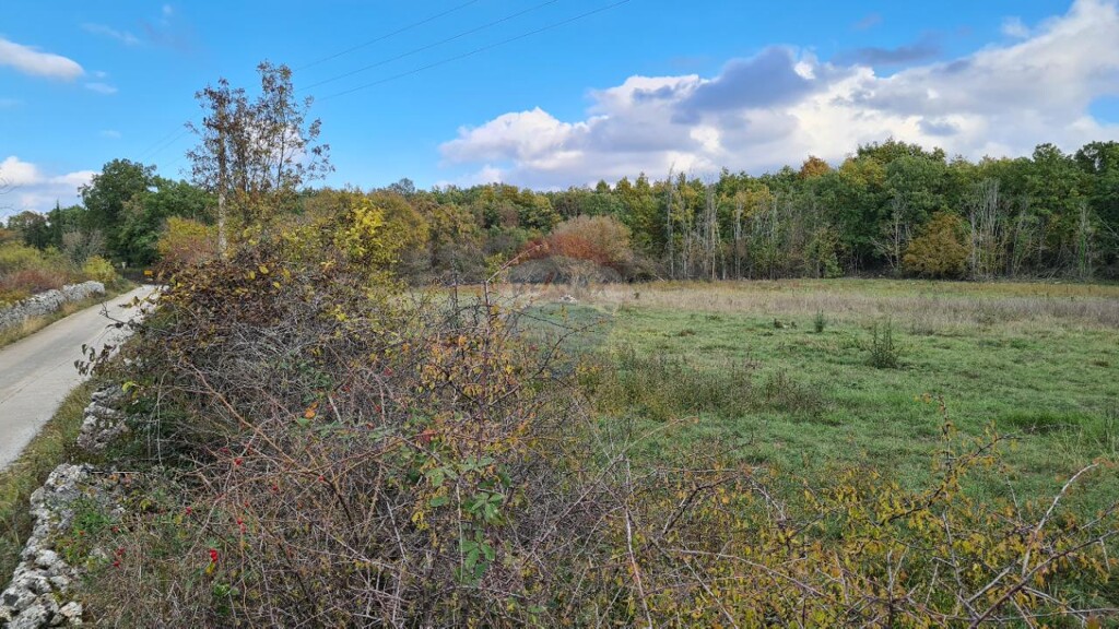 Image 5542741 - 6