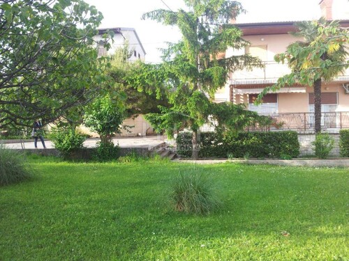 Thumbnail 5543195 - 1