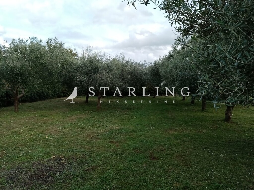 Image 5543232 - 12