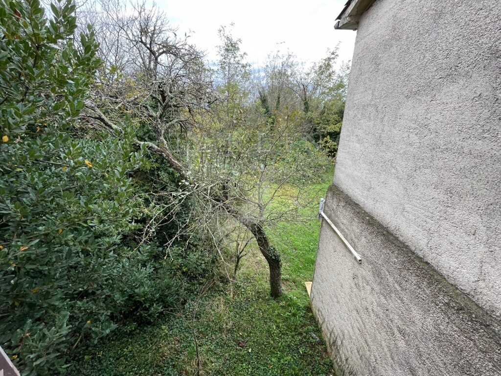 Image 5543672 - 2