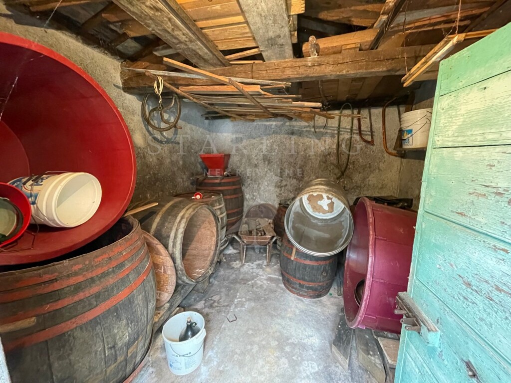 Image 5543672 - 8