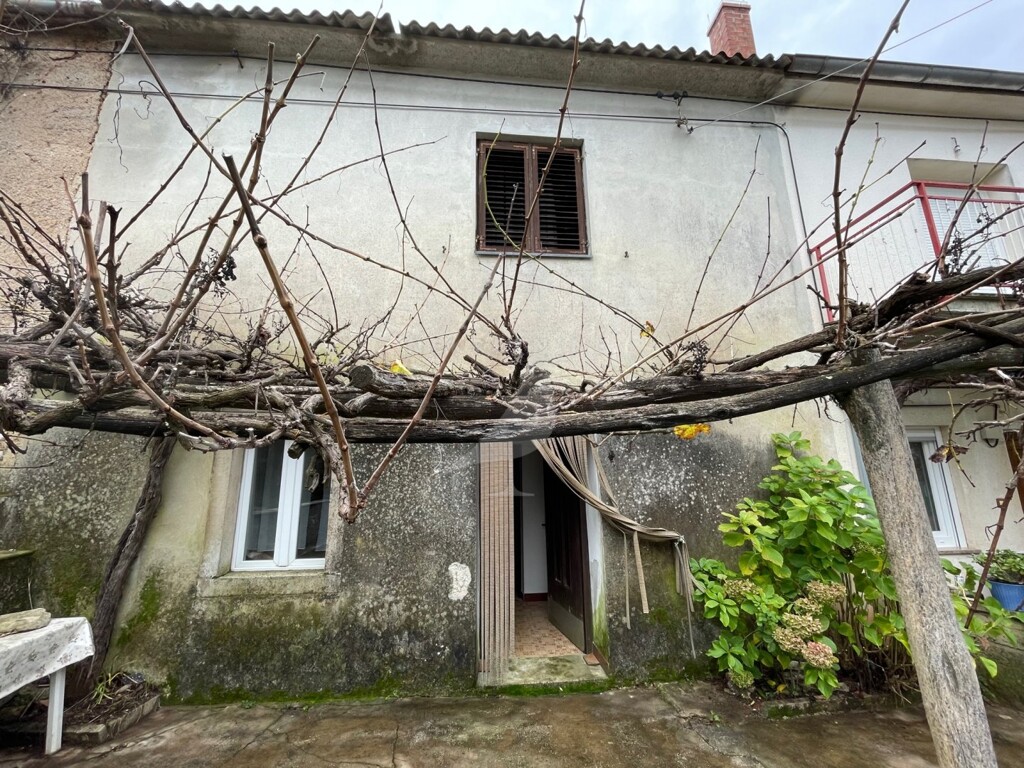 Image 5543672 - 1