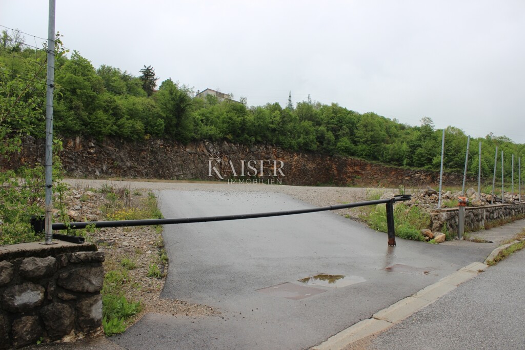 Image 5543823 - 2