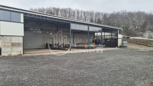 Thumbnail 5543876 - 3