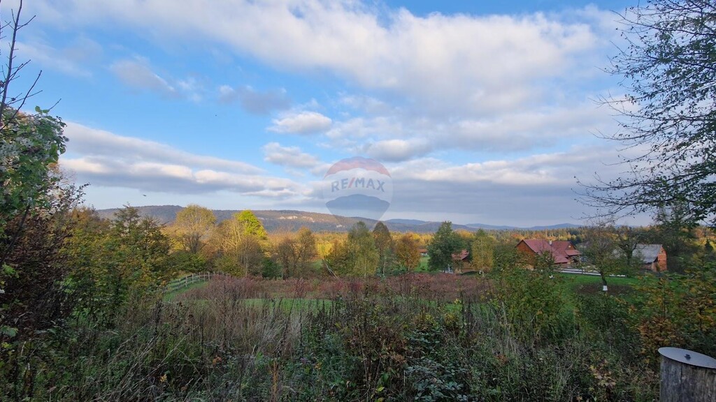 Image 5543904 - 1