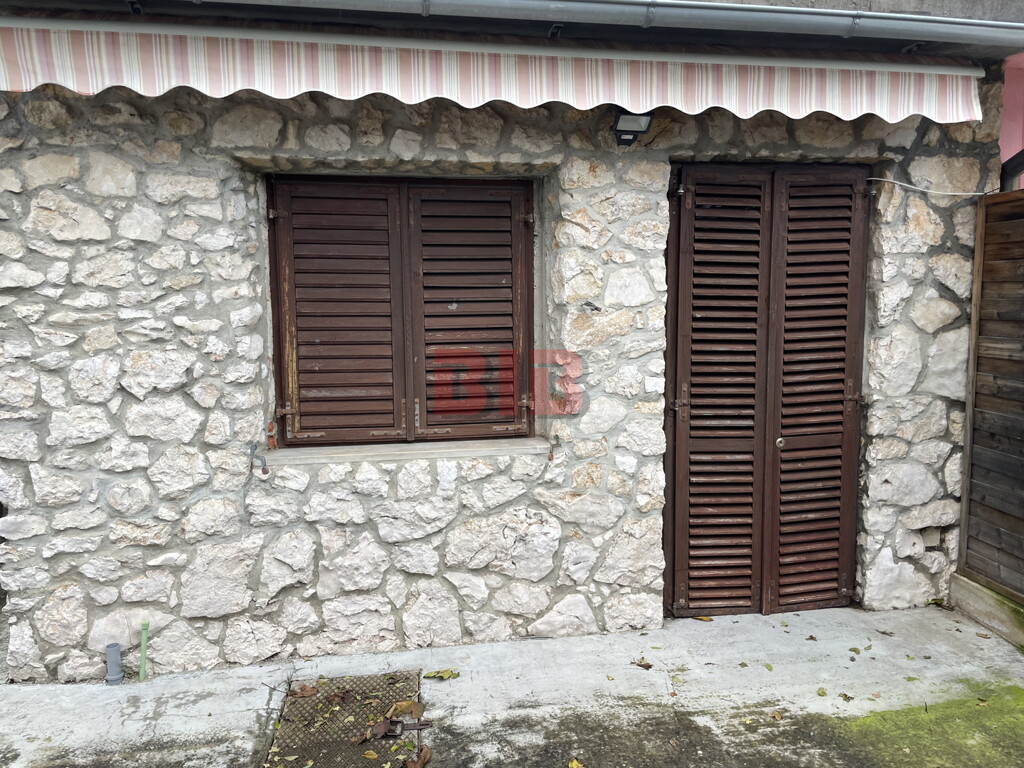 Image 5544512 - 13