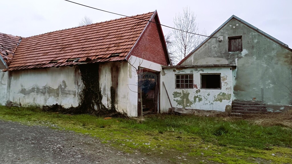 Image 5544566 - 3
