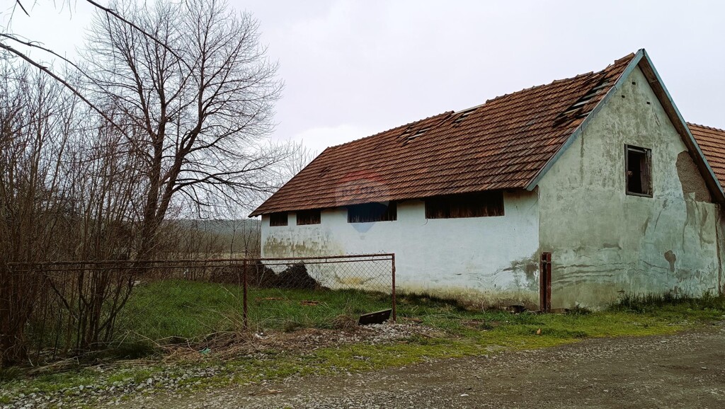 Image 5544566 - 2