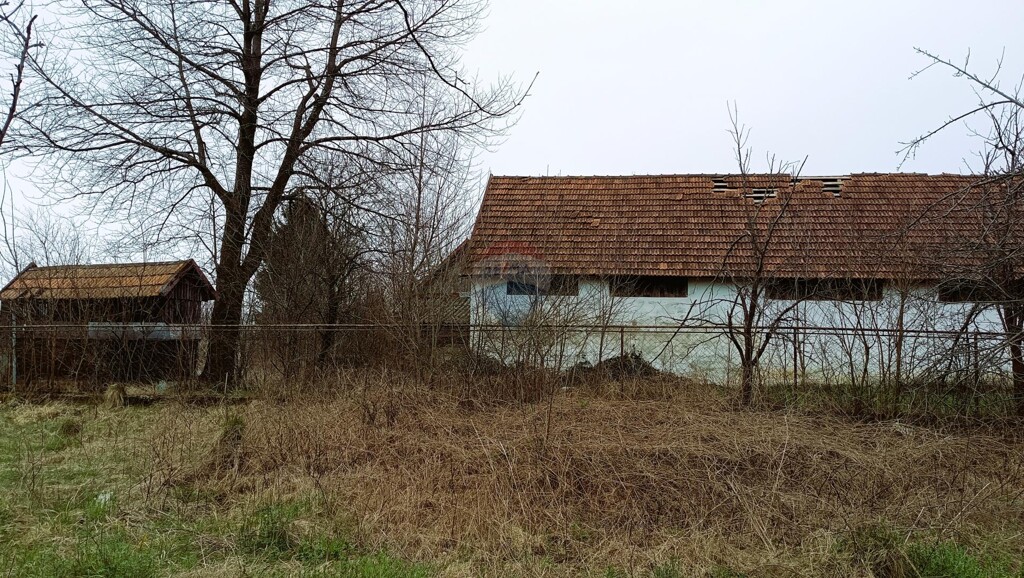 Image 5544566 - 4