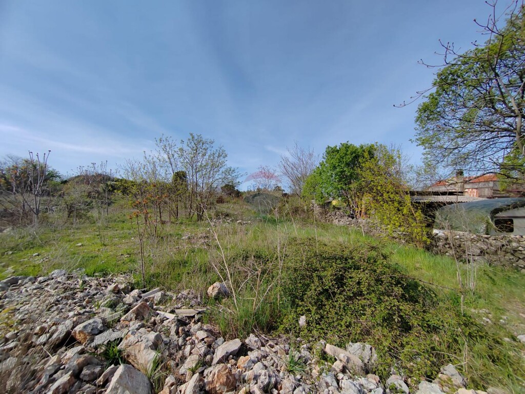 Image 5544570 - 2
