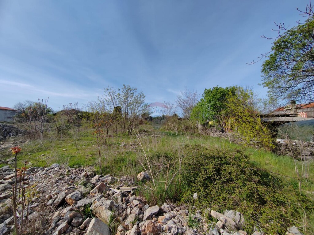 Image 5544570 - 1