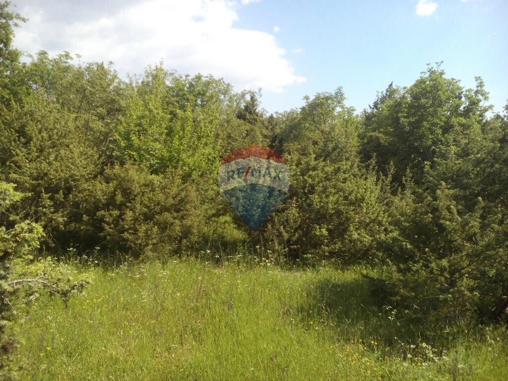Image 5544576 - 1