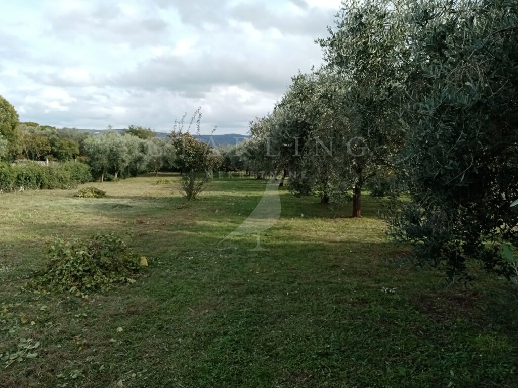 Image 5546773 - 4