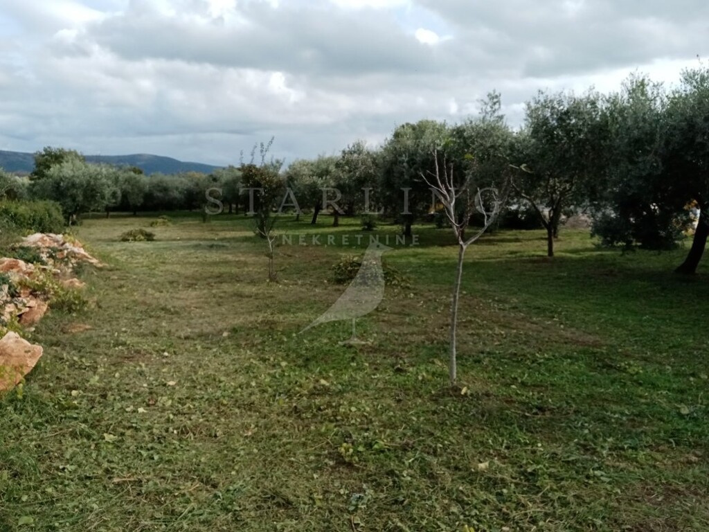 Image 5546773 - 2