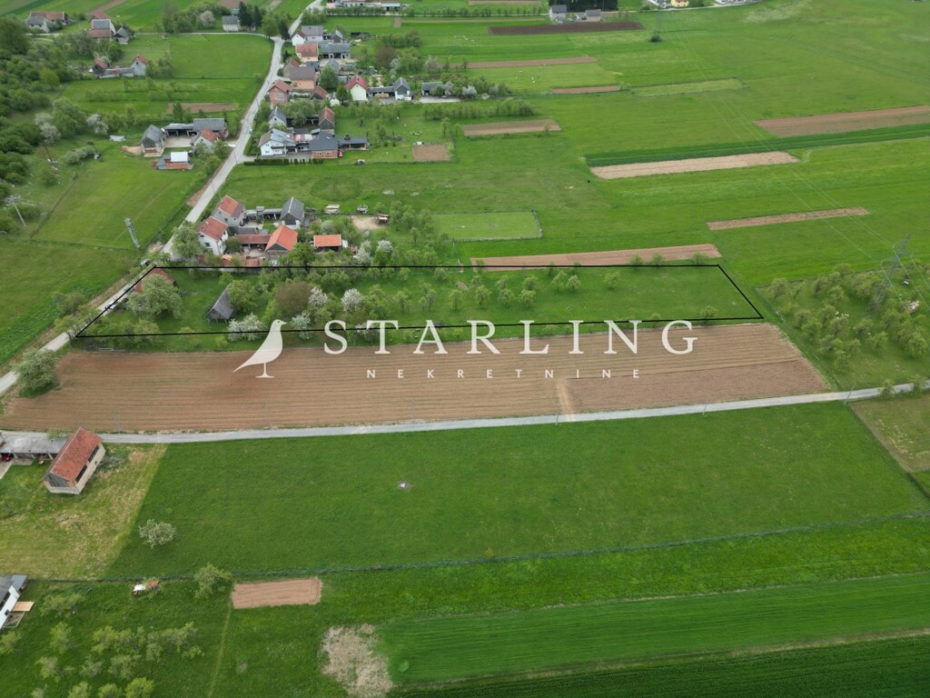Image 5546780 - 2