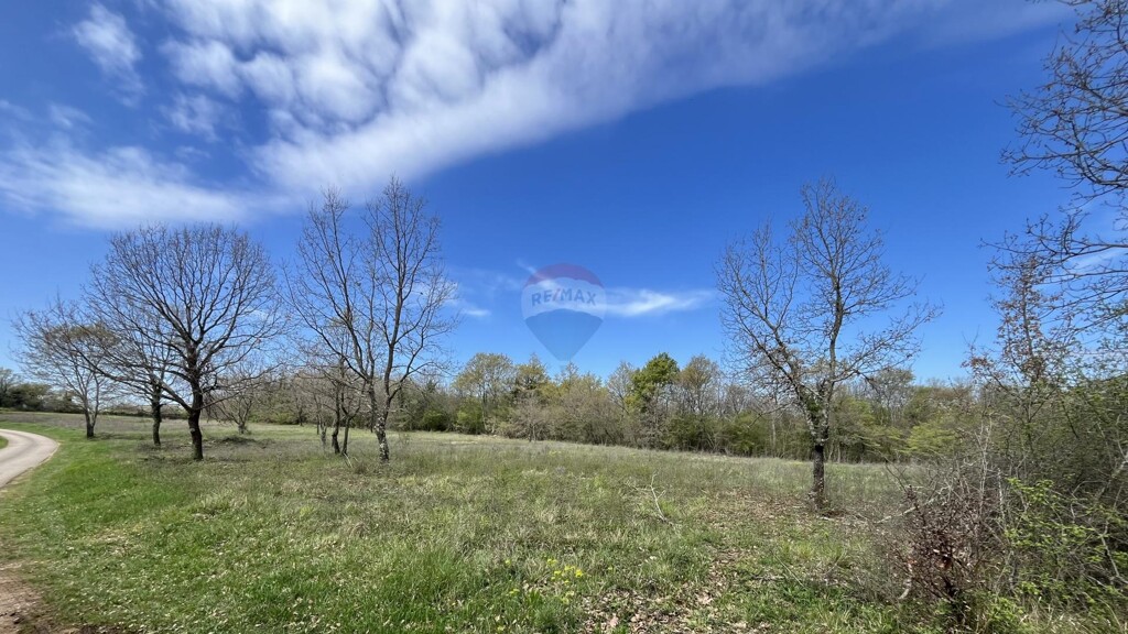 Image 5547067 - 4