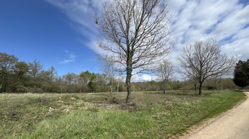 Thumbnail 5547067 - 1
