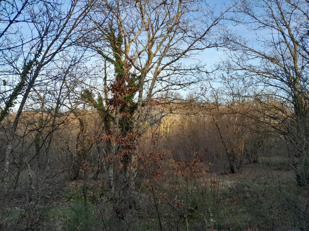 Image 5547073 - 4