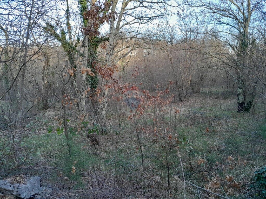 Image 5547073 - 1
