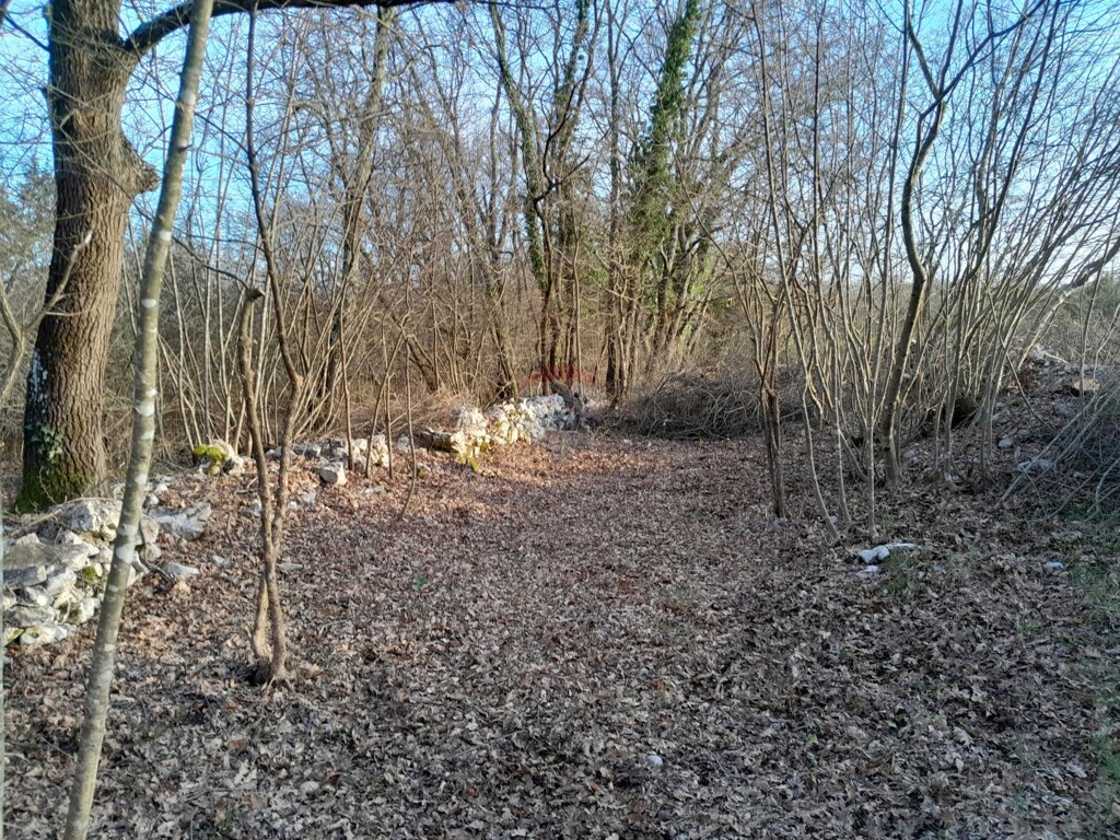 Image 5547073 - 5