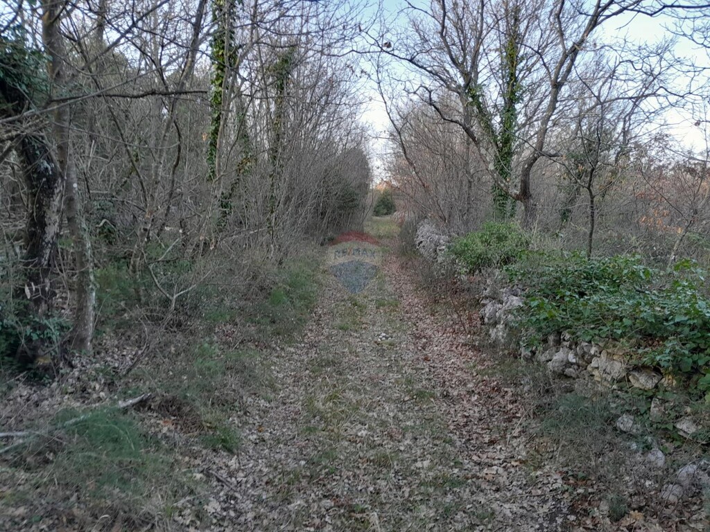 Image 5547073 - 2