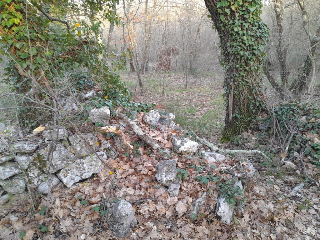 Image 5547073 - 3