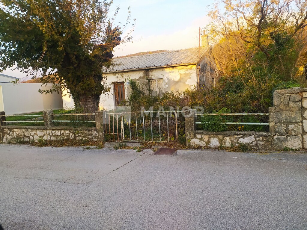 Image 5548276 - 2