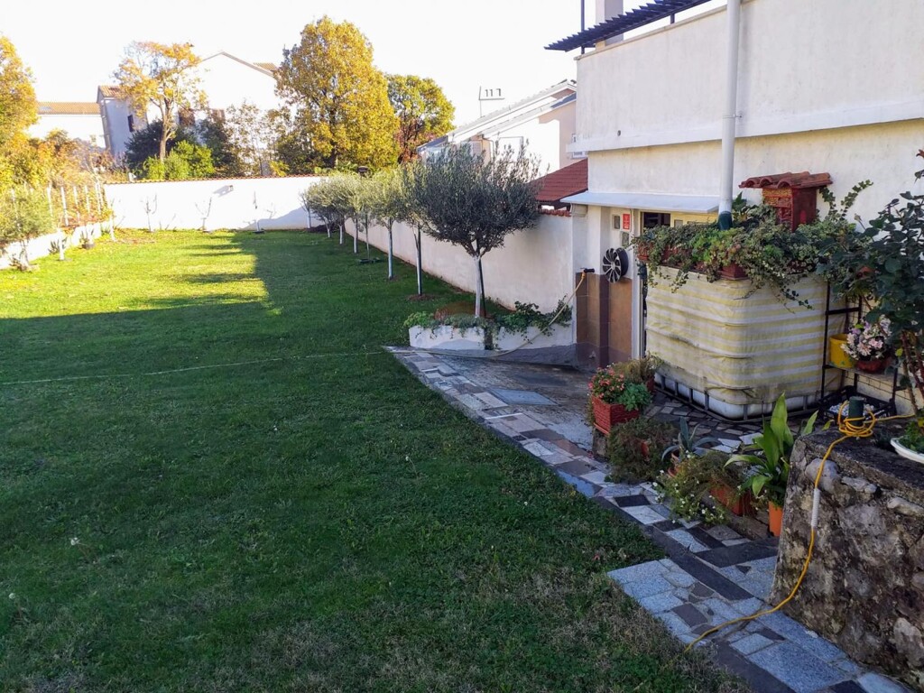 Image 5548303 - 8