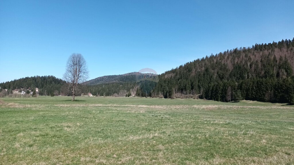 Image 5549322 - 3
