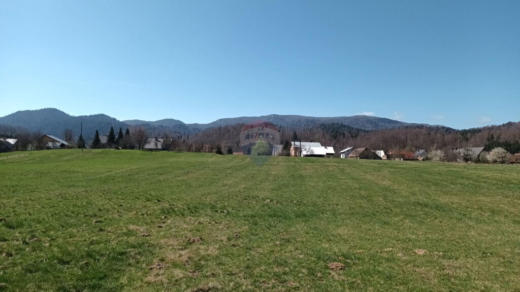 Image 5549322 - 4