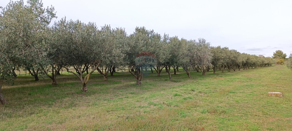 Image 5549330 - 1