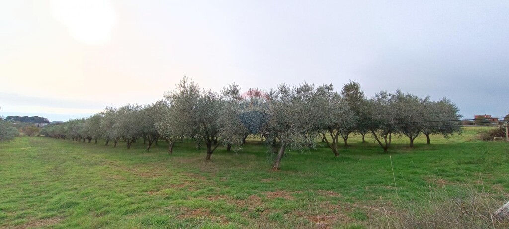 Image 5549330 - 3