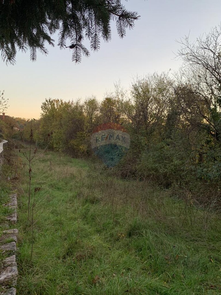 Image 5549338 - 1