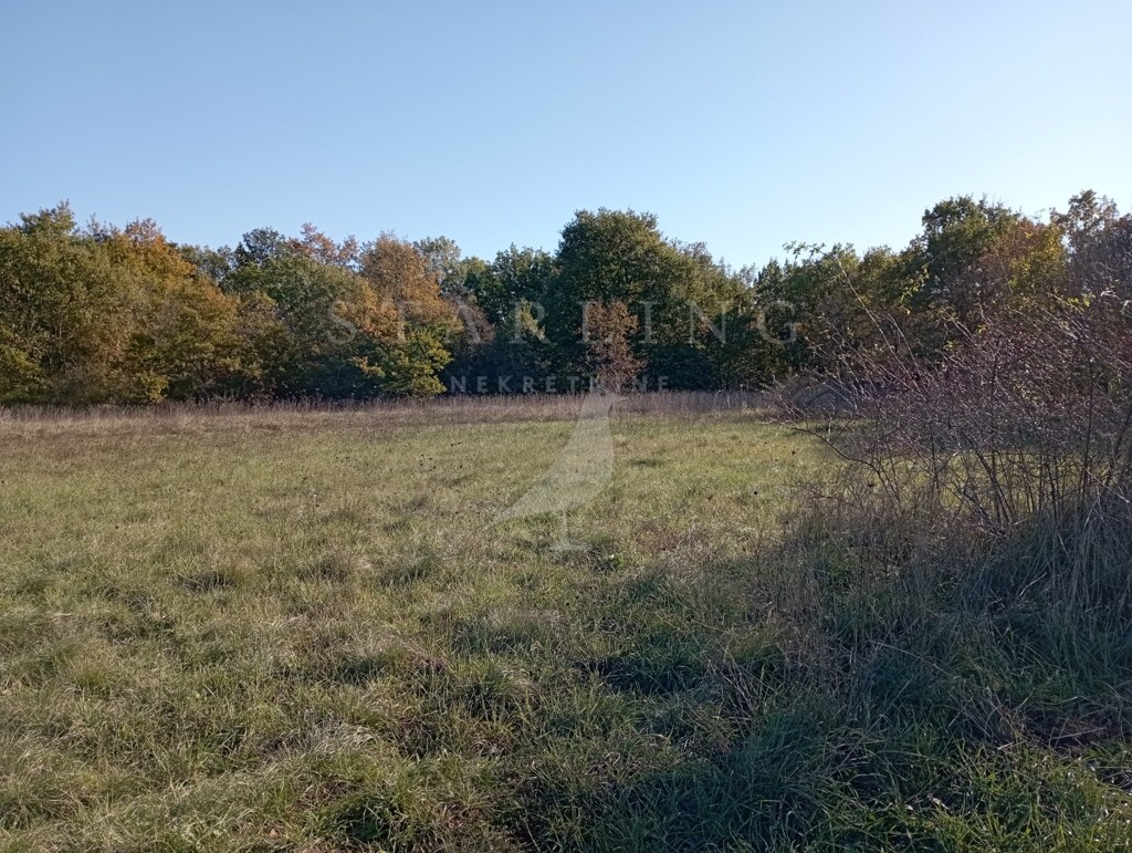 Image 5550120 - 3