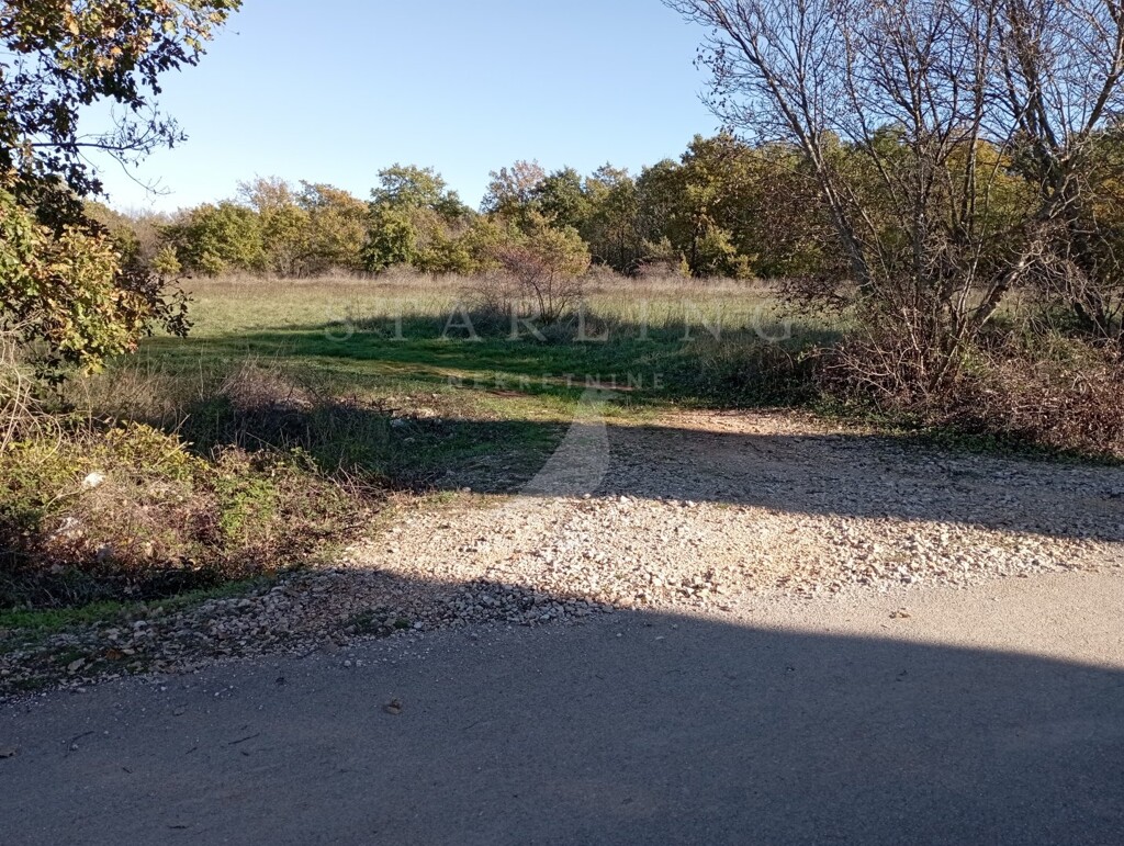 Image 5550120 - 1