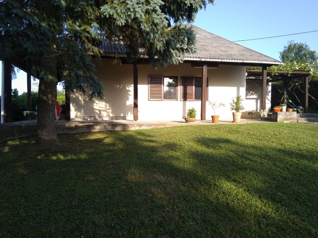 Image 5550214 - 1