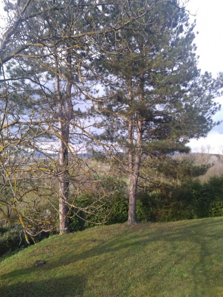 Image 5550214 - 19