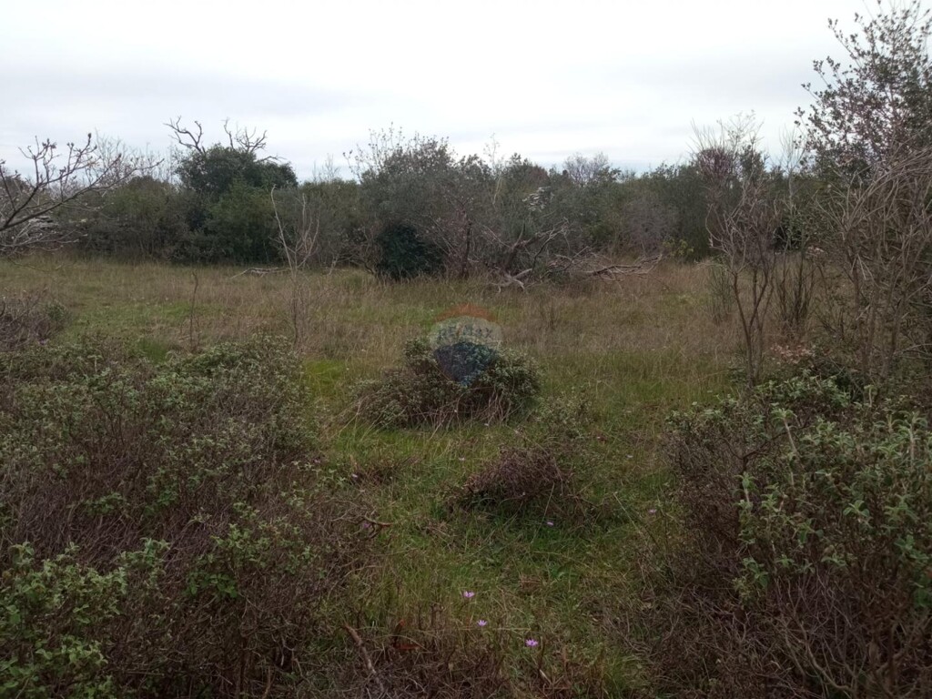 Image 5550228 - 2